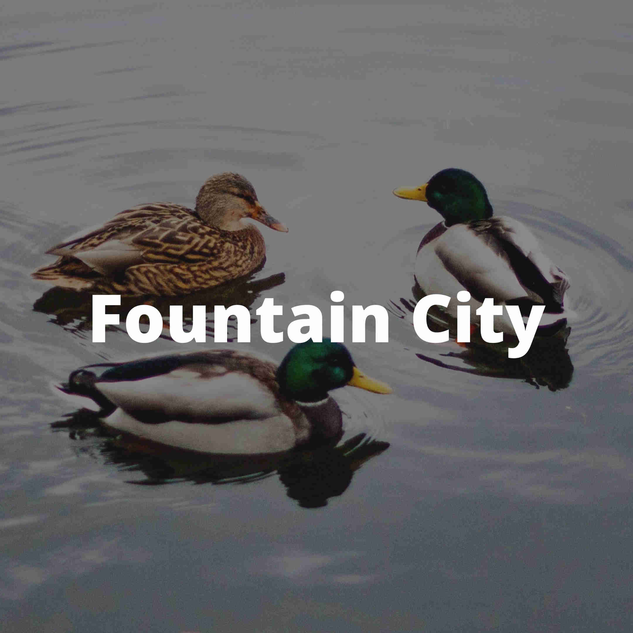 foutain city